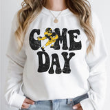 29. Iowa Hawkeyes Vintage NCAA Football Sweatshirt, College Game Day Apparel, Classic Sports Team Gift for Fans