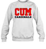 Christian University Of Michigan Sweatshirt_1