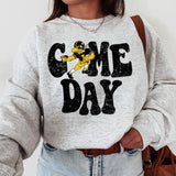 29. Iowa Hawkeyes Vintage NCAA Football Sweatshirt, College Game Day Apparel, Classic Sports Team Gift for Fans