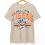 Auburn Tigers Vintage NCAA Sweatshirt, Unisex Auburn Football Shirt, Classic Sport Hoodie, Gifts for Football Fans, Cotton T-Shirt, Hoodie Sweatshirt