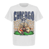 Deadman's Bear Graphic T-Shirt - Chicago Football Team  Gildan 5000 Heavy Cotton Shirts  Unisex American Football Top for Men and Women