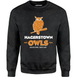 Hagerstown Owls - Maryland - Vintage Defunct Baseball Teams - Unisex Sweatshirt