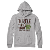 Turtle Turtle Turtle Hoodie