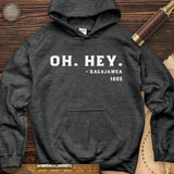 Sacajawea I Got This Hoodie