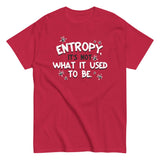 Entropy, It's Not What It Used To Be Men's Classic Tee