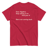 Dear Algebra, Stop Asking Us To Find Your X Men's Classic Tee