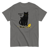 Wasn't Me Men's Classic Tee