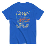 Sorry! I'm Using This Right Meow Men's Classic Tee