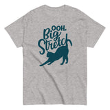 Big Stretch Men's Classic Tee
