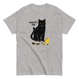 Wasn't Me Men's Classic Tee