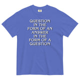 Question In The Form Of An Answer Men's Relaxed Fit Tee