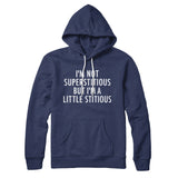 Iâ€™m Not Superstitious But Iâ€™m A Little Stitious Hoodie