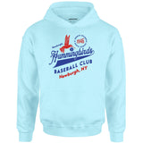Newburgh Hummingbirds - New York - Vintage Defunct Baseball Teams - Unisex Hoodie