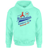 Newburgh Hummingbirds - New York - Vintage Defunct Baseball Teams - Unisex Hoodie