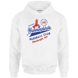 Newburgh Hummingbirds - New York - Vintage Defunct Baseball Teams - Unisex Hoodie