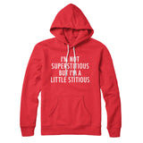 Iâ€™m Not Superstitious But Iâ€™m A Little Stitious Hoodie