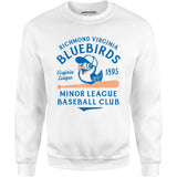 Richmond Bluebirds - Virginia - Vintage Defunct Baseball Teams - Unisex Sweatshirt