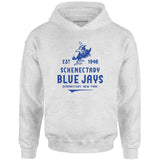 Schenectady Blue Jays - New York - Vintage Defunct Baseball Teams - Unisex Hoodie