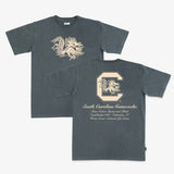 South Carolina Homecourt Heavy Tee