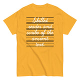 Skilled Reader And Scribe Of The Ancient Text Men's Classic Tee
