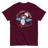 It's Owl Good Men's Classic Tee
