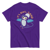 It's Owl Good Men's Classic Tee