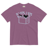 If I Fits, I Sits Men's Relaxed Fit Tee