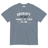 Entropy, It's Not What It Used To Be Men's Relaxed Fit Tee