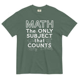 Math The Only Subject That Counts Men's Relaxed Fit Tee