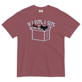 If I Fits, I Sits Men's Relaxed Fit Tee