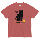 Wasn't Me Men's Relaxed Fit Tee
