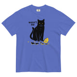 Wasn't Me Men's Relaxed Fit Tee