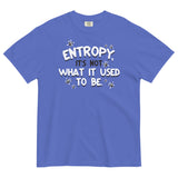 Entropy, It's Not What It Used To Be Men's Relaxed Fit Tee