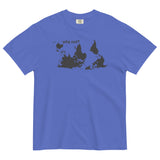 Why Not? Men's Relaxed Fit Tee