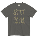 Per My Last Email Men's Relaxed Fit Tee