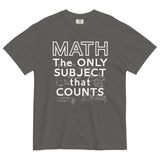 Math The Only Subject That Counts Men's Relaxed Fit Tee