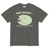 Not Today Probably Not Tomorrow Either Men's Relaxed Fit Tee