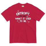 Entropy, It's Not What It Used To Be Men's Relaxed Fit Tee
