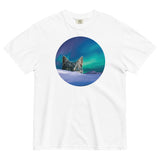 Meowthern Lights Men's Relaxed Fit Tee