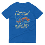 Sorry! I'm Using This Right Meow Men's Signature Tee