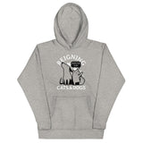 Reigning Cats And Dogs Unisex Hoodie