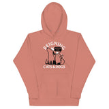 Reigning Cats And Dogs Unisex Hoodie
