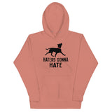 Haters Gonna Hate Pit Unisex Hoodie