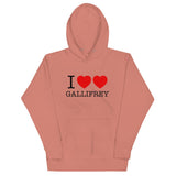 I Heart Heart Gallifrey Unisex Hoodie