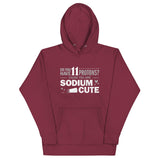 Do You Have 11 Protons? Unisex Hoodie