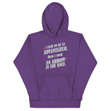 I Used To Be An Adventurer Unisex Hoodie