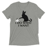 I Do What I Want Men's Tri-Blend Tee