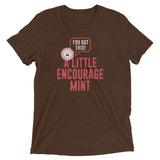 A Little Encourage Mint Men's Tri-Blend Tee