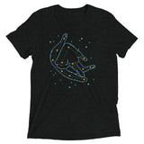 Catstellation Men's Tri-Blend Tee