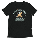 Sometimes Fancy Always Schmancy Men's Tri-Blend Tee